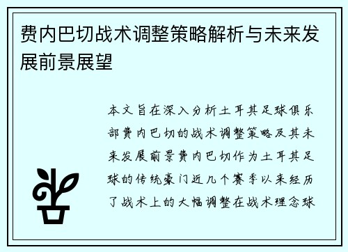 费内巴切战术调整策略解析与未来发展前景展望
