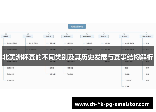 北美洲杯赛的不同类别及其历史发展与赛事结构解析